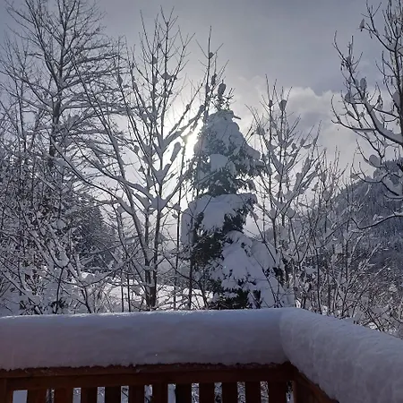 Kemp Tiny House Am Steinergut